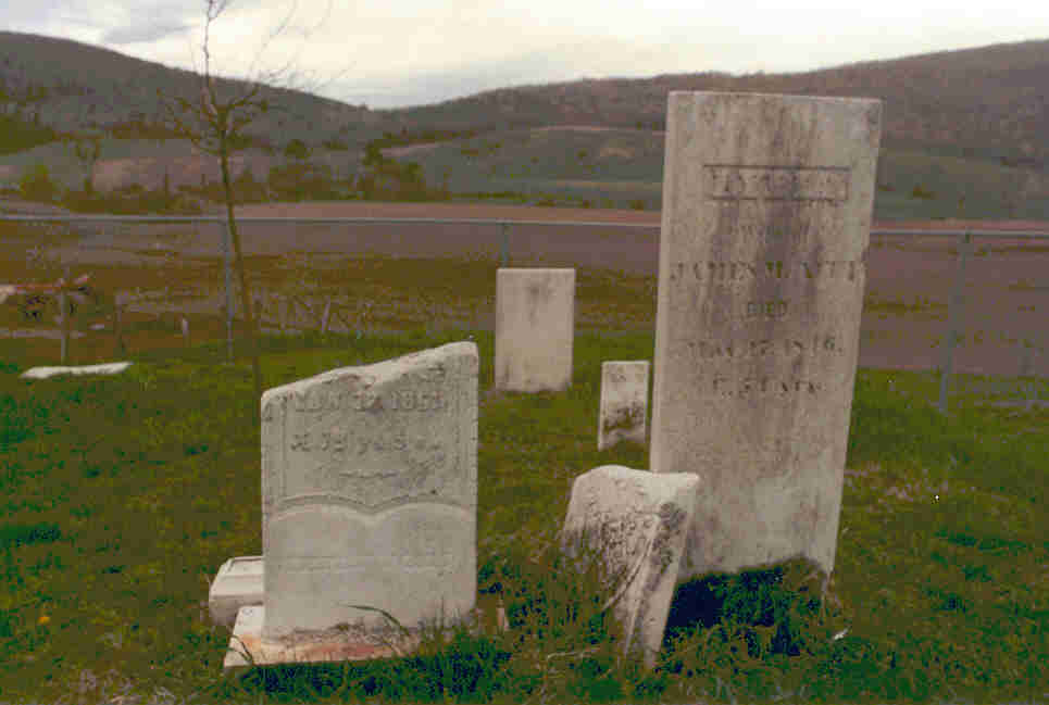 Gravestones of James McNitt and his wife Lydia Martin