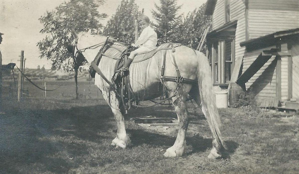 James McNitt on the back of Pluto at the farm of his great uncle Arthur Merrill in New Jersey